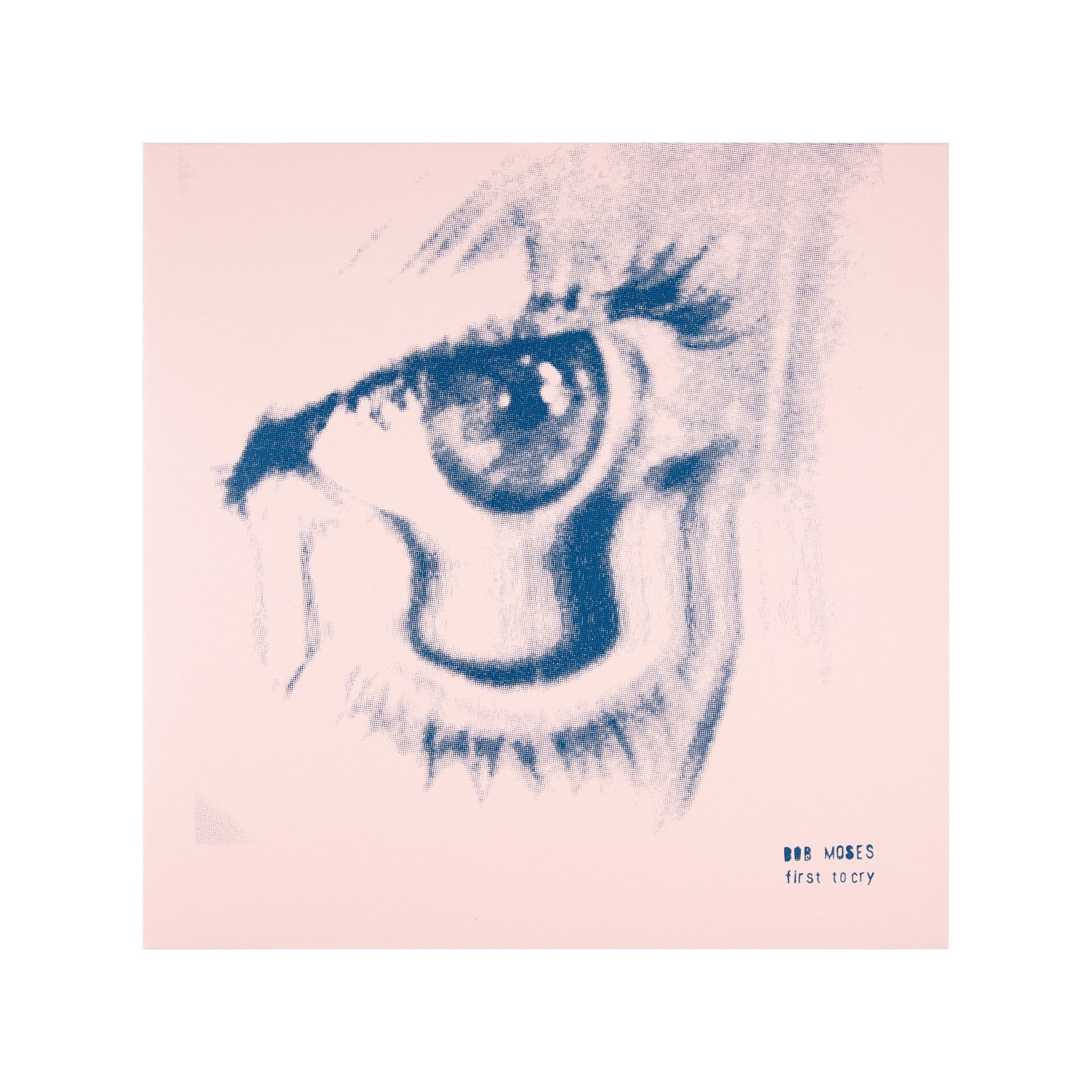 FIRST TO CRY LP